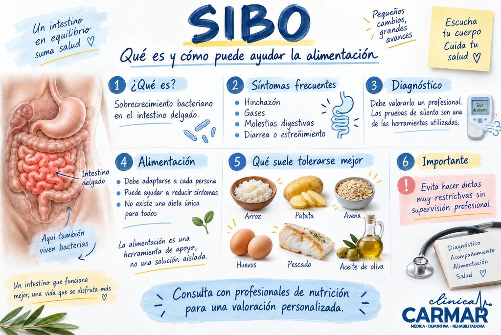 Infografía sobre SIBO, síntomas, diagnóstico y alimentación recomendada